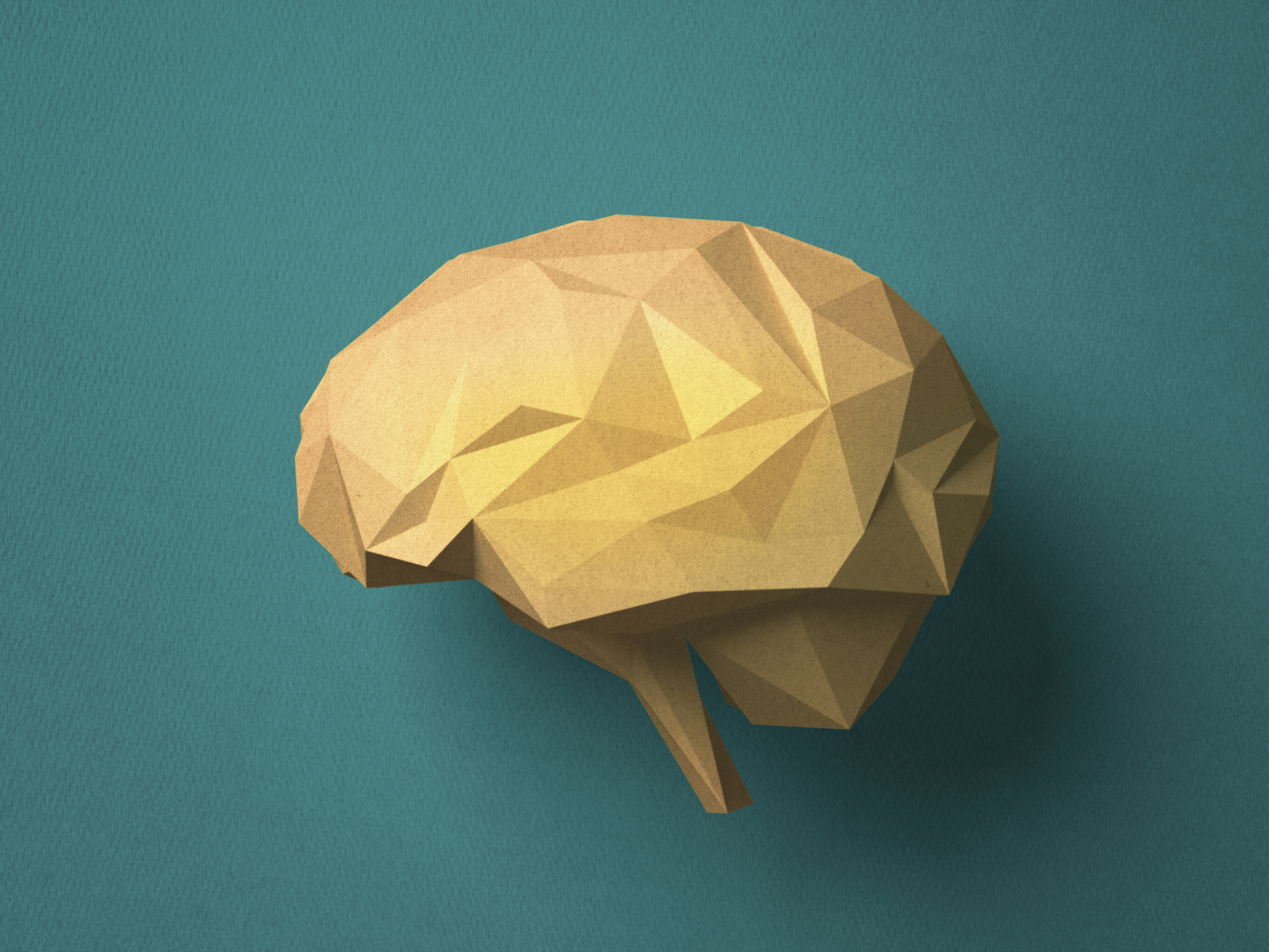 Paper craft Brain