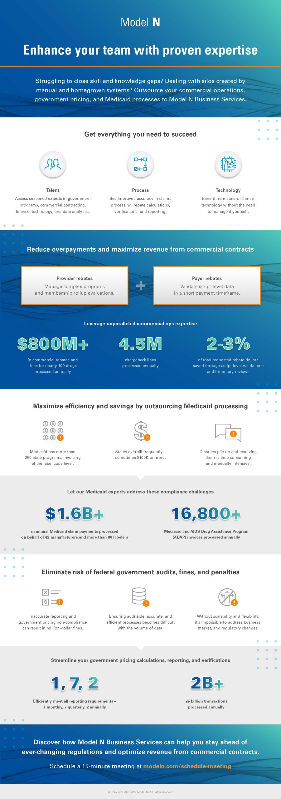 model-n-business-services-infographic-2023